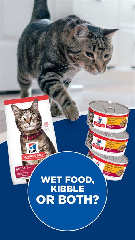 Can I Mix Wet and Dry Cat Food?