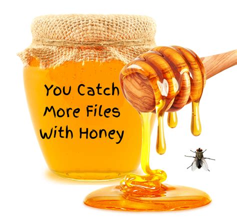 Can You Fly With Honey?